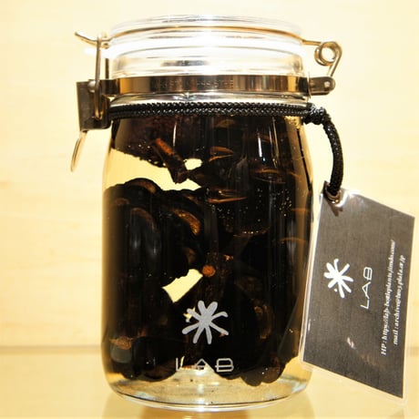 Lab bottle plants"Banksia" 1,000ml