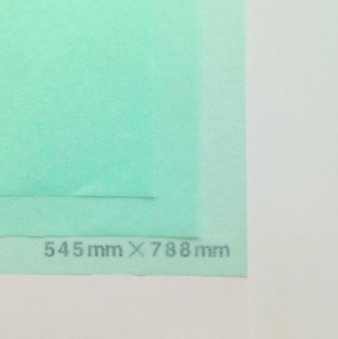 ライトグリーン 14g 545mm × 394mm 800枚 | tutumupaper14