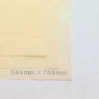 アイボリー 14g 272mm × 394mm  800枚