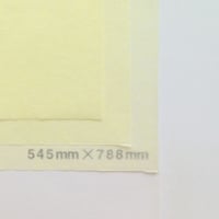 クリーム 14g 　　545mm × 788mm 200枚