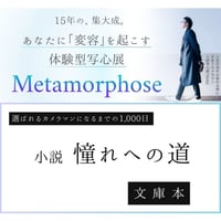 TSUGU著　小説【憧れへの道】　Metamorphose限定文庫本