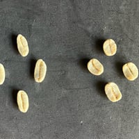コスタリカ コフィア　ディベルサ農園 ブルボン　ポワントゥ 　１００g 　限定１０