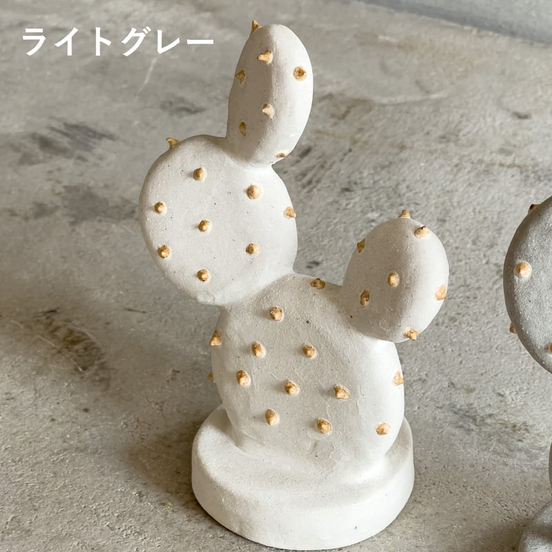 ウチワサボテン【STUDIO ZOK(陶植)】 | ドライフラワーと、うつわと
