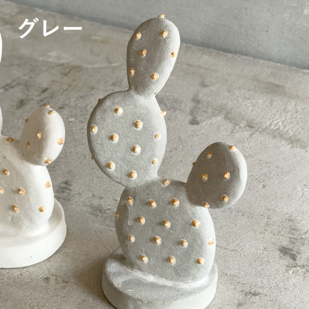 ウチワサボテン【STUDIO ZOK(陶植)】 | ドライフラワーと、うつわと