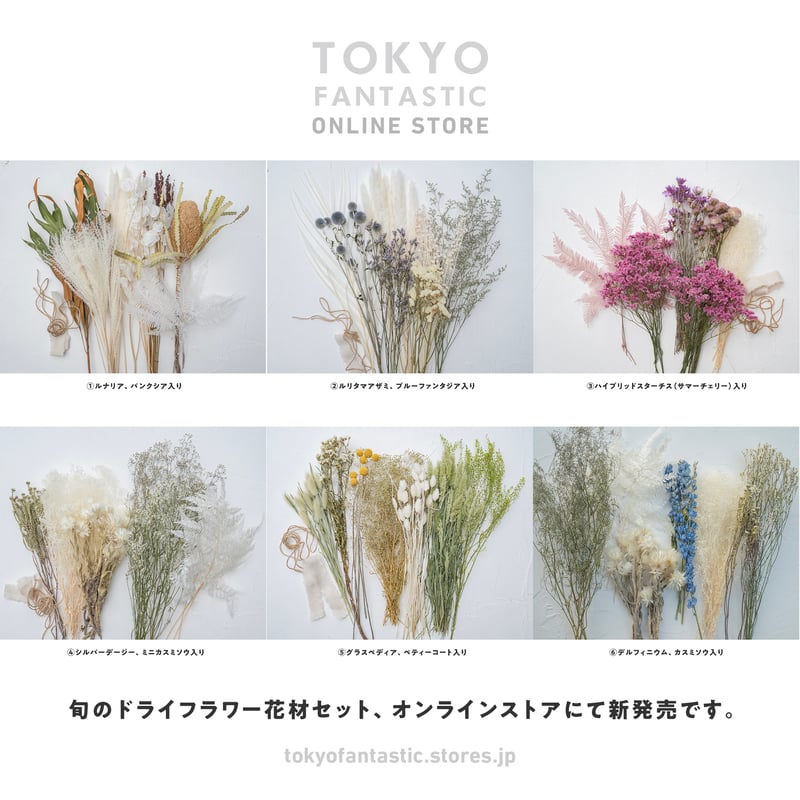 ドライフラワー花材セット 】グラスペディア、ペティーコート入り 