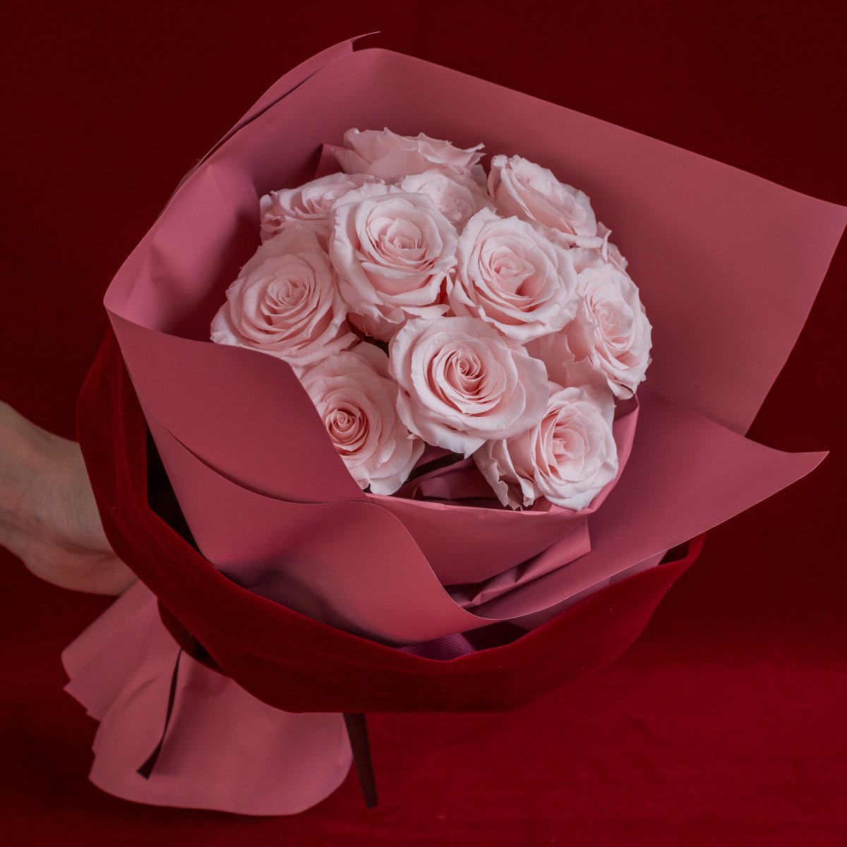 バラ12本のRose Bouquet🌹「付き合ってください」（A Dozen Roses） |