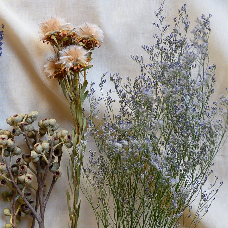 C】ドライフラワー花材・Cセット | ドライフラワーと、うつわと暮らし