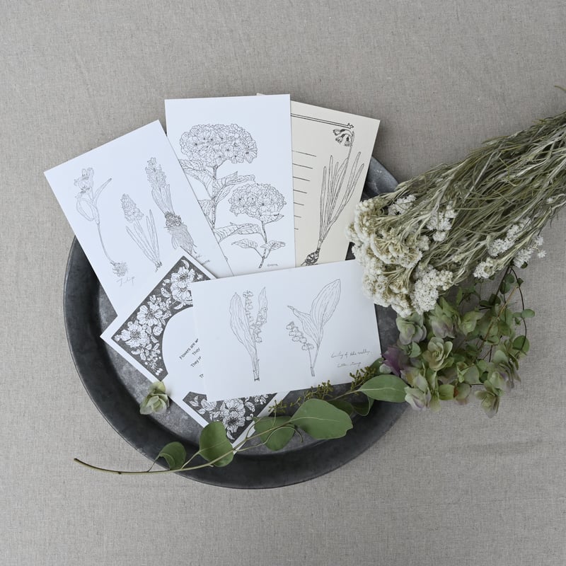 レア品 コテリ(Kotteri!)「her」「tu.」 + ポストカードセット 【公式