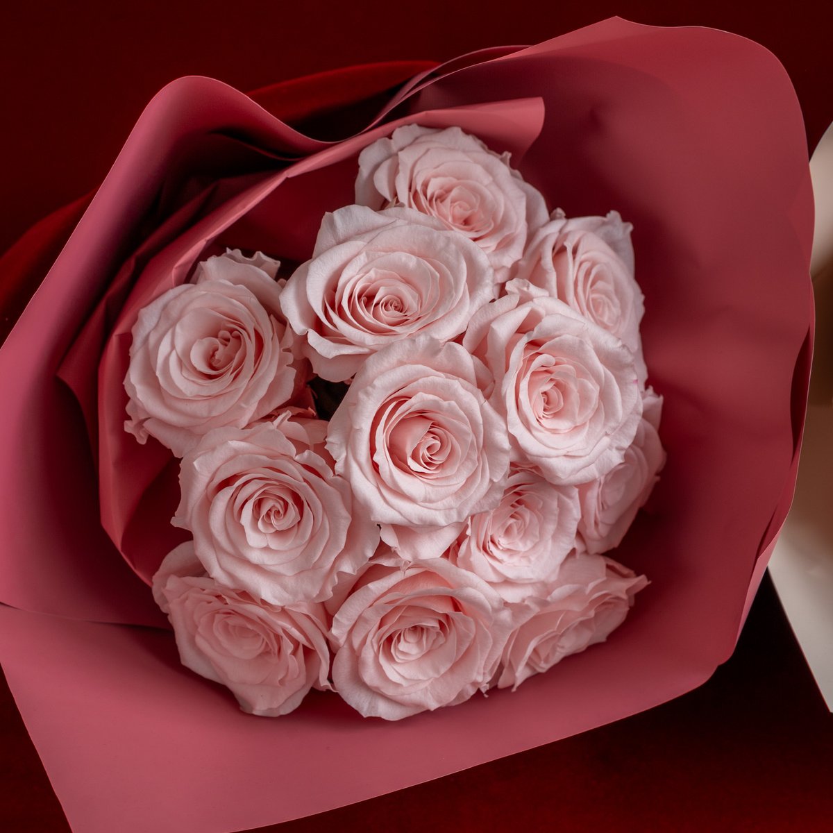 バラ12本のRose Bouquet🌹「付き合ってください」（A Dozen Roses） |