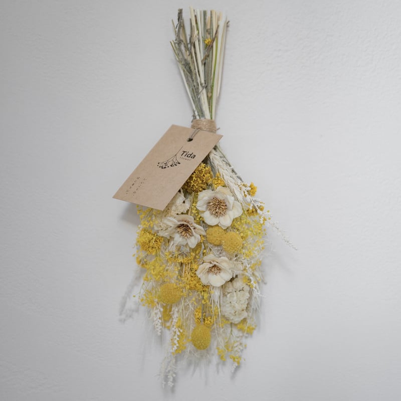 Dasique・FlowerKnows・TIRTIR✨豪華まとめ売り Tida Flower | ドライフラワー花屋 by TOKYO FANTASTIC