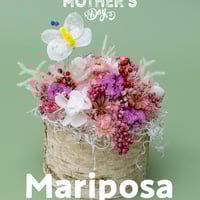 ⑧母の日ドライフラワー2025 【白樺アレンジ】 "Mariposa"