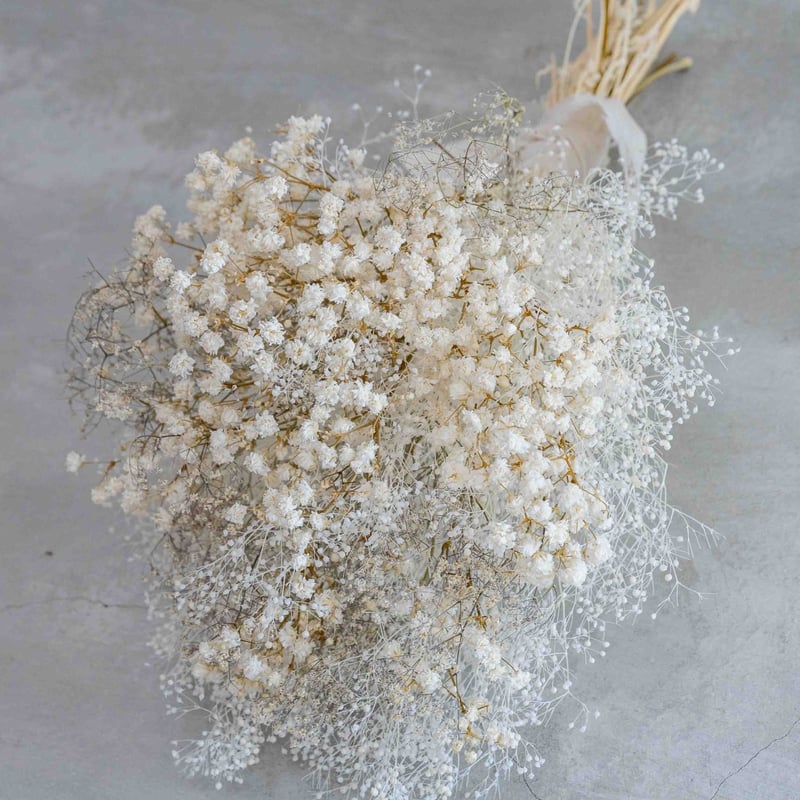 カスミソウのドライフラワースワッグ | ドライフラワーと、うつわと