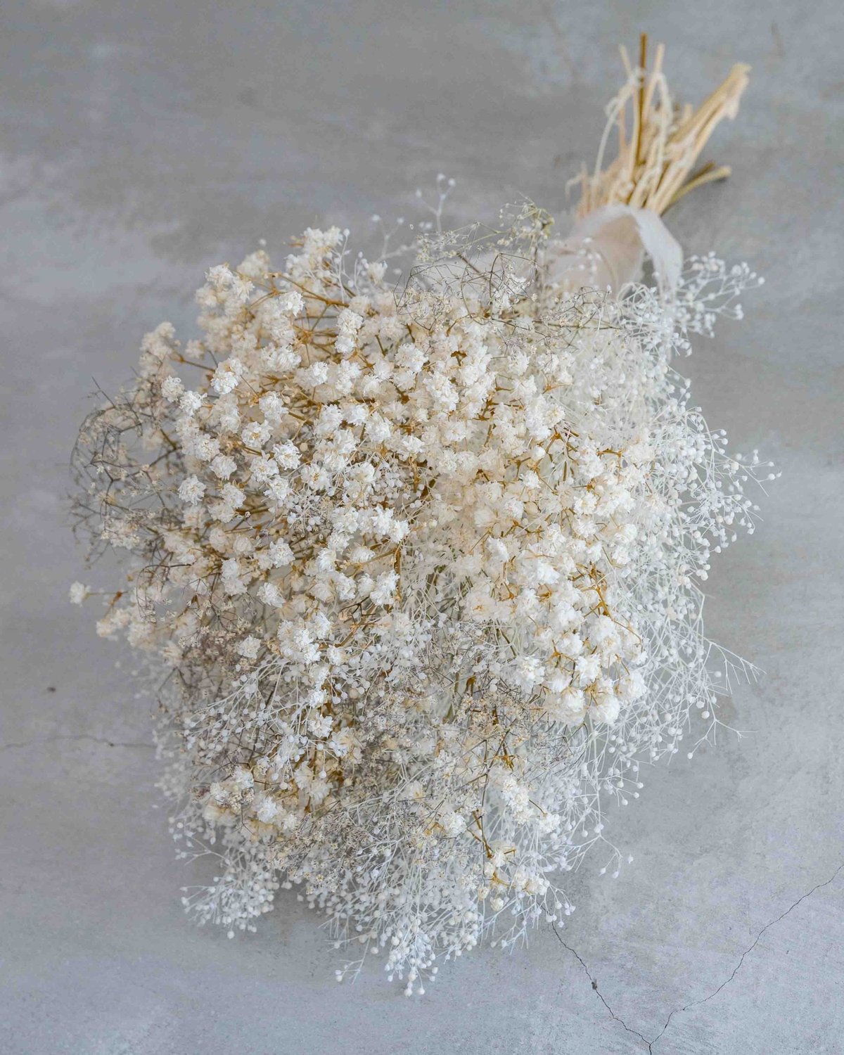 カスミソウのドライフラワースワッグ | ドライフラワーと、うつわと