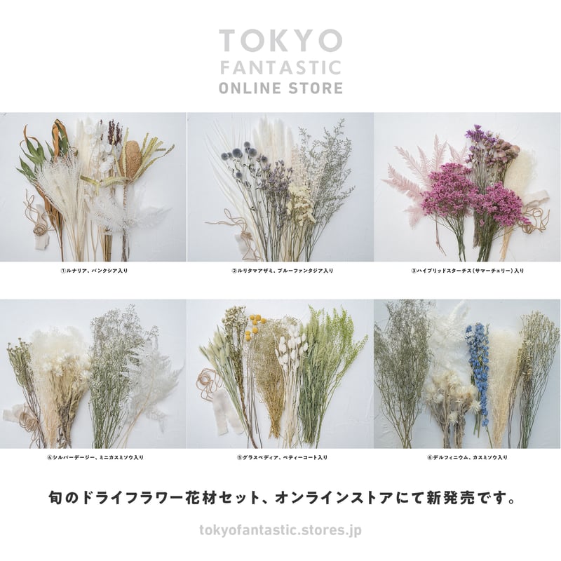 スプレー薔薇ディルフィニウムドライフラワー短め花材
