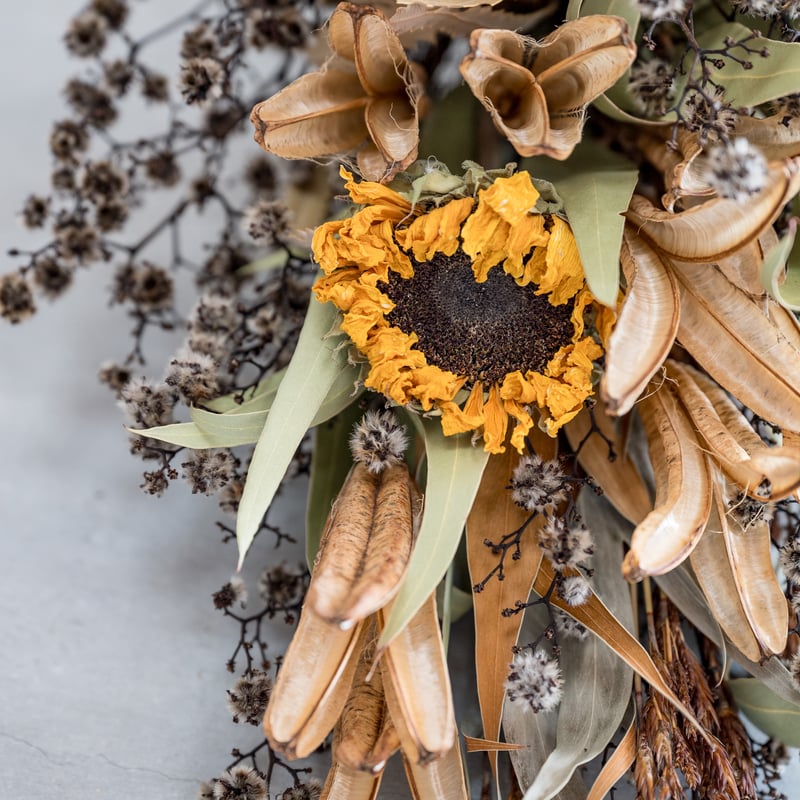 ドライフラワー　スワッグ　インテリア　バンクシア バンクシアドライフラワースワッグ