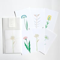 紙の花屋asanochiaki「かすみ草」※1点もの | ドライフラワーと、うつわ