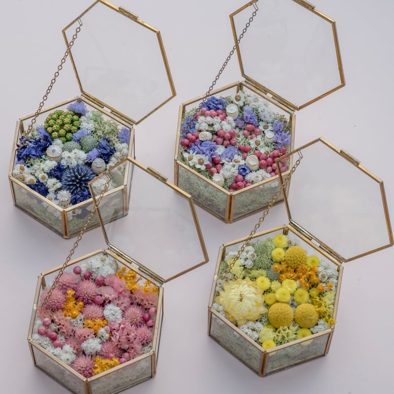 Dasique・FlowerKnows・TIRTIR✨豪華まとめ売り Tida Flowerのドライフラワーリングピロー（大） | ドライ