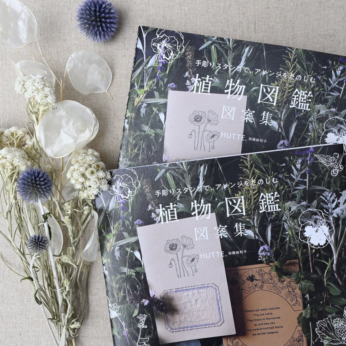 HUTTE. 植物図鑑 図案集 | ドライフラワーと、うつわと暮らし。TOKYO