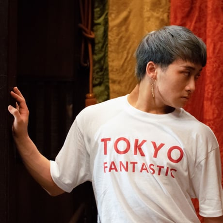 TOKYO FANTASTIC JAPAN T-shirt  / にっぽん Tシャツ / Japan Made