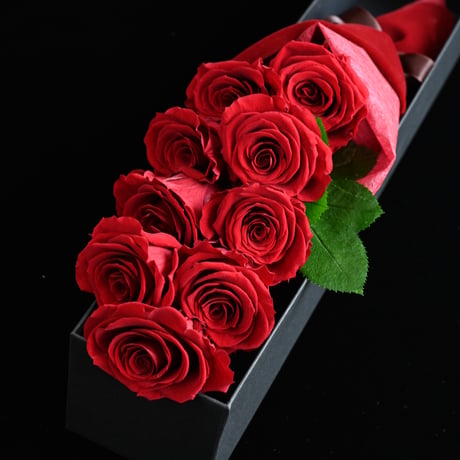 ROSE GALLERY ベストウィッシュローズ プロポーズ ドライフラワー バラ
