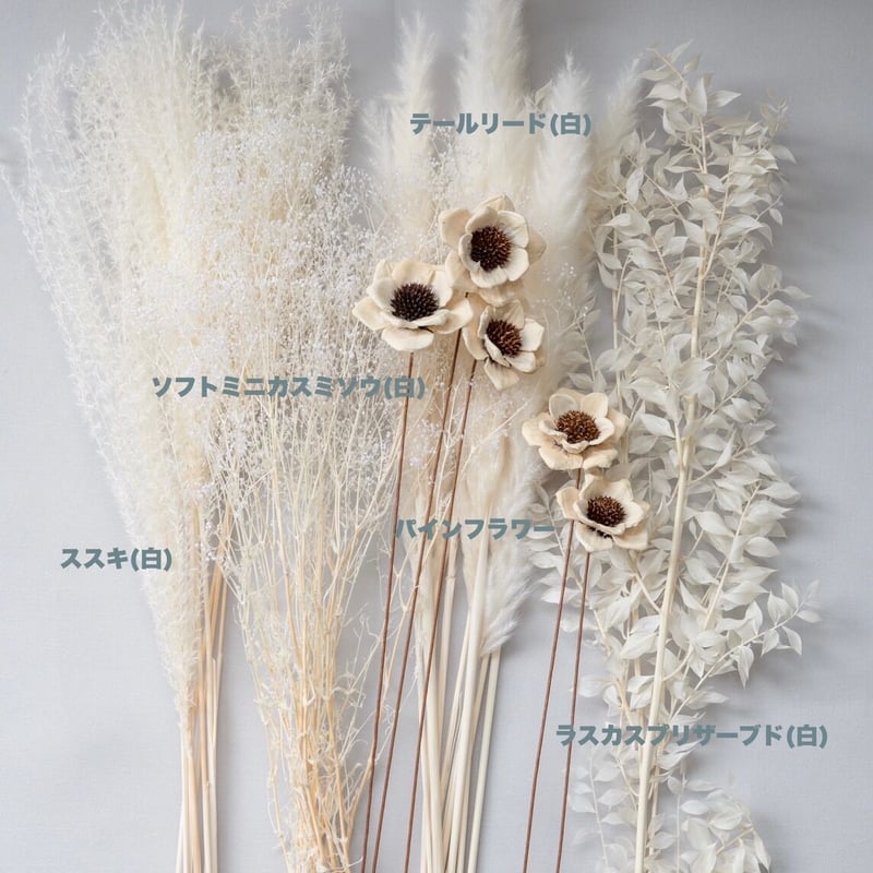 ドライフラワー　ハンドメイド　花材　花材詰め合わせ　マトリカリア　m-42 Amazon | ノーブランド品 ドライフラワー詰め合わせ 花材セット