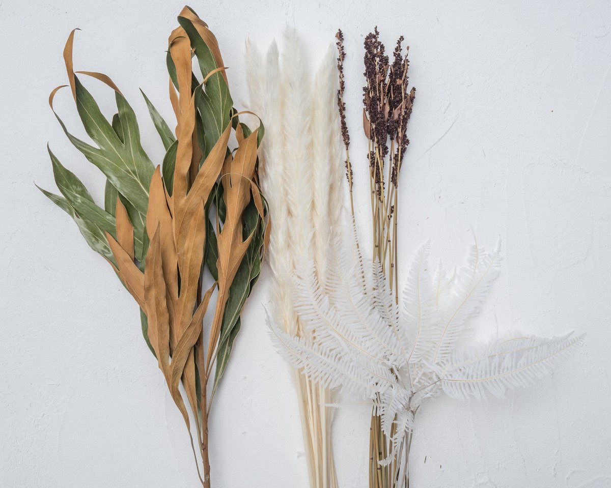 リナリア様 オーダーページ ドライフラワー花材セット 】ルナリア、バンクシア入り | ドライ