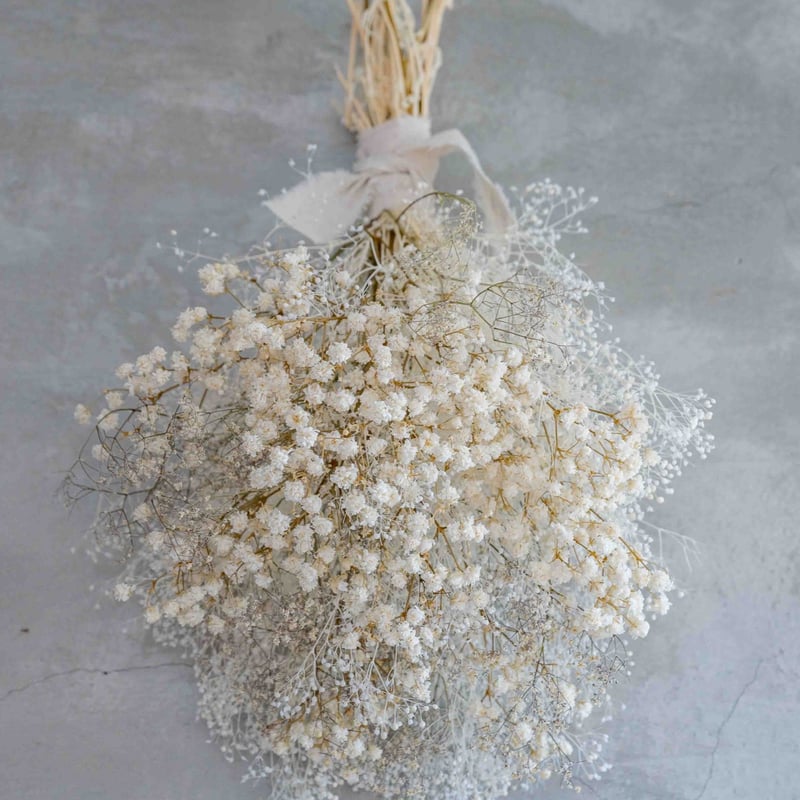 カスミソウのドライフラワースワッグ | ドライフラワーと、うつわと