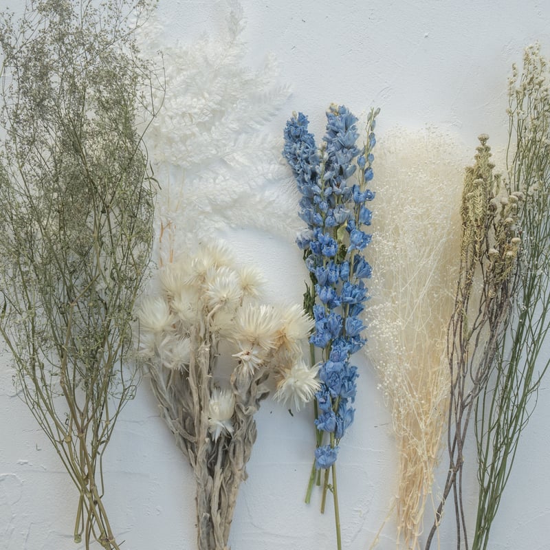 ドライフラワー　花材セット Amazon | ノーブランド品 ドライフラワー詰め合わせ 花材セット MIX