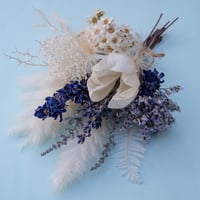 おまかせドライフラワー花材セット ネイティブフラワー | ドライ