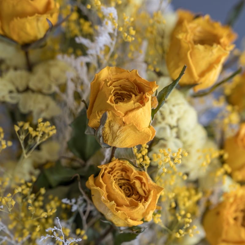 お花たっぷりドライフラワー スワッグ ガーランド❁109薔薇 お花たっぷりドライフラワー スワッグ ガーランド❁109薔薇