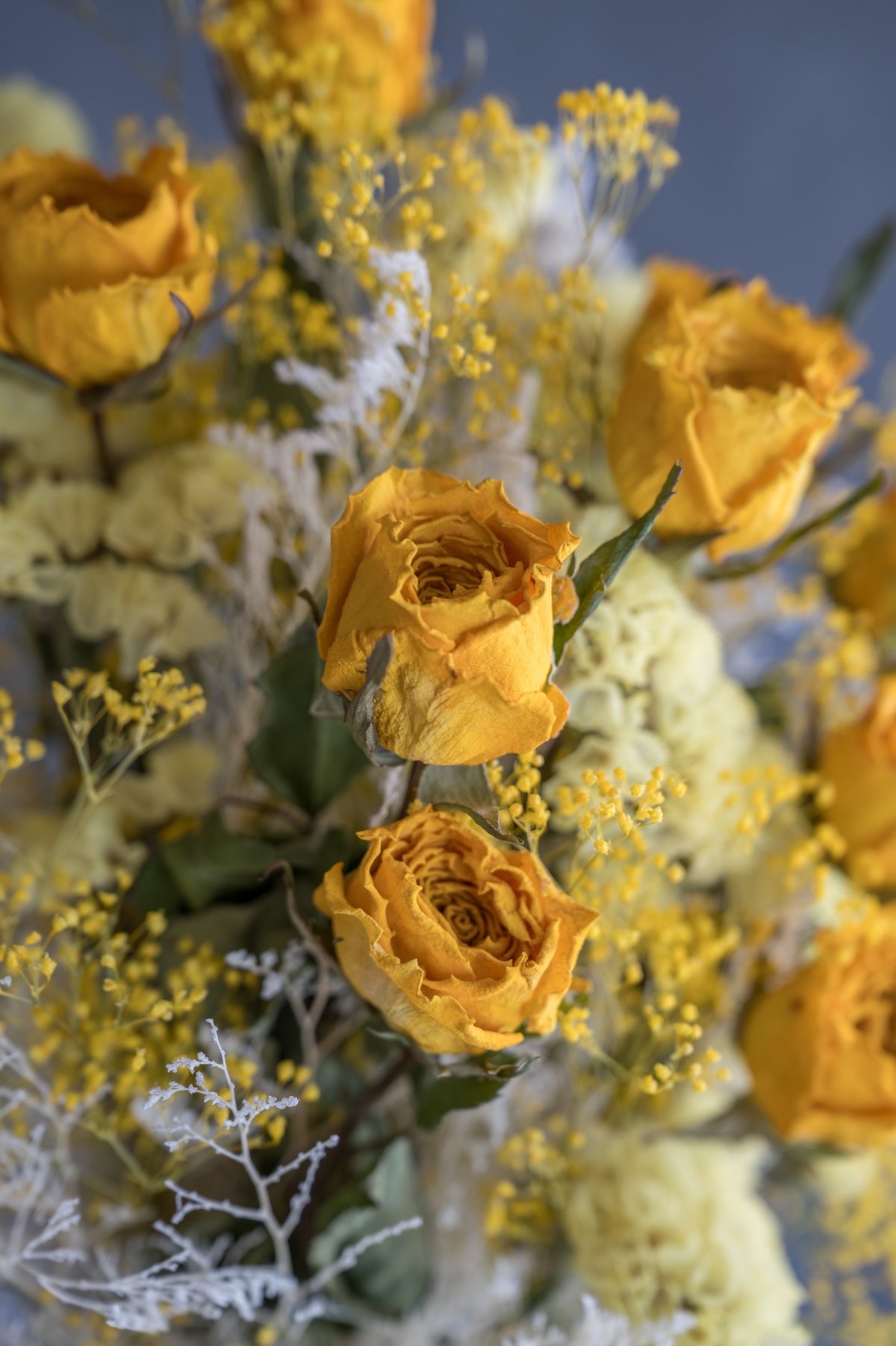 バラ12本のドライフラワー花束🌹「付き合ってください バラ12本のドライフラワー花束🌹「付き合ってください
