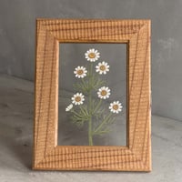 紙の花屋asanochiaki「かすみ草」※1点もの | ドライフラワーと