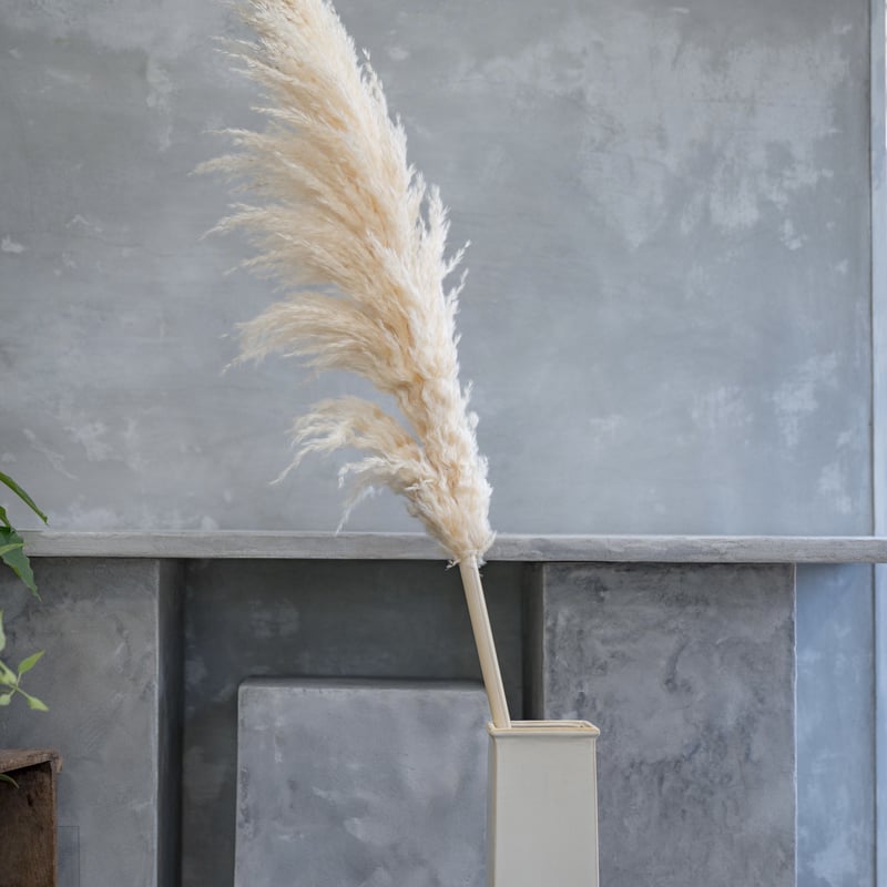 高品質★超特大130㎝　パンパスグラス10本 Amazon | 10 ps天然パンパスグラス48インチ（120 cm）ふわふわ