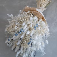 B】ドライフラワー花材・Bセット | ドライフラワーと、うつわと暮らし