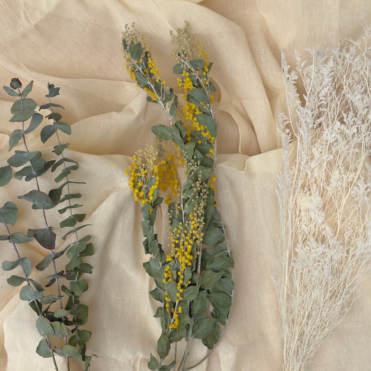 ミモザ ドライフラワー 8g ミモザ ドライフラワー 8g ドライフラワー「ミモザ