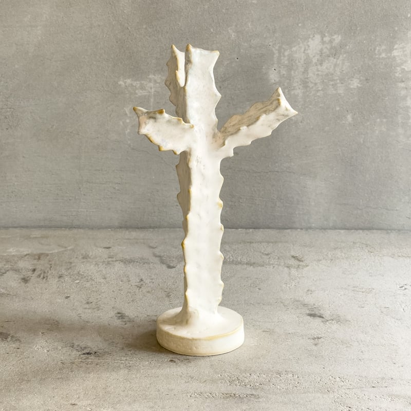 ホワイトゴースト【STUDIO ZOK(陶植)】 | ドライフラワーと、うつわと