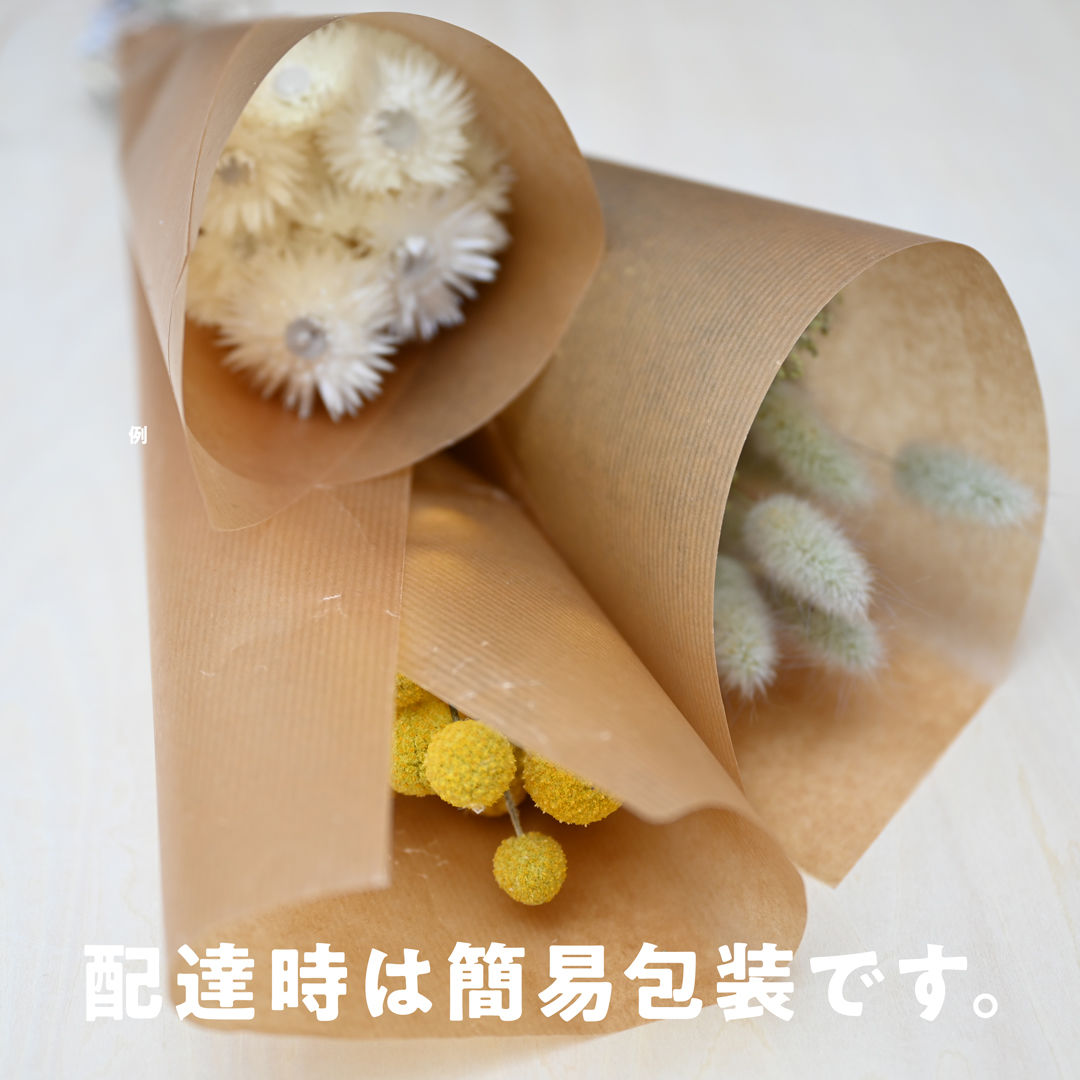 ドライフラワー花材セットオフホワイト 】ソラダリア＆ルナリア入り