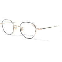 EVE un BLUE　Garden　CINERARIA　Slate Gray