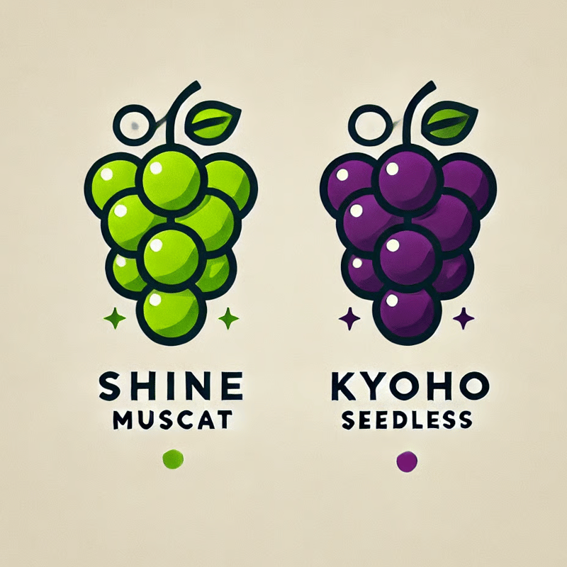 FarmぶどうのSHIMIZU