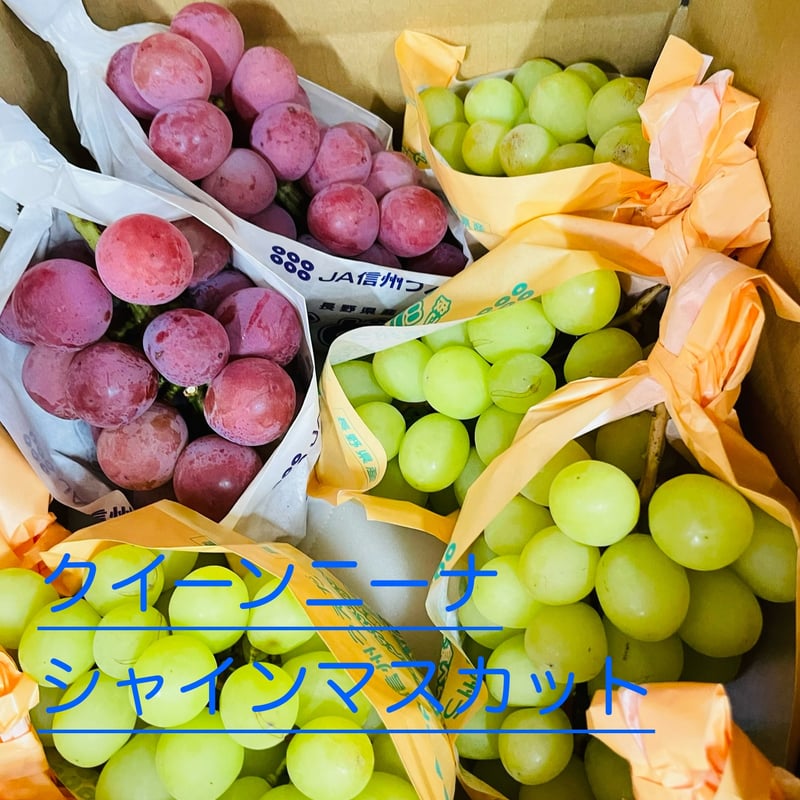 FarmぶどうのSHIMIZU