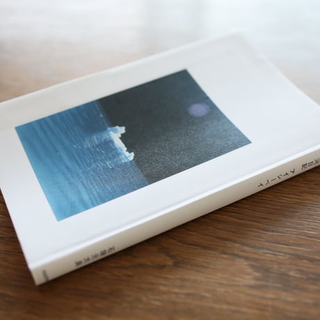 「氷河日記　アイシーベイ」