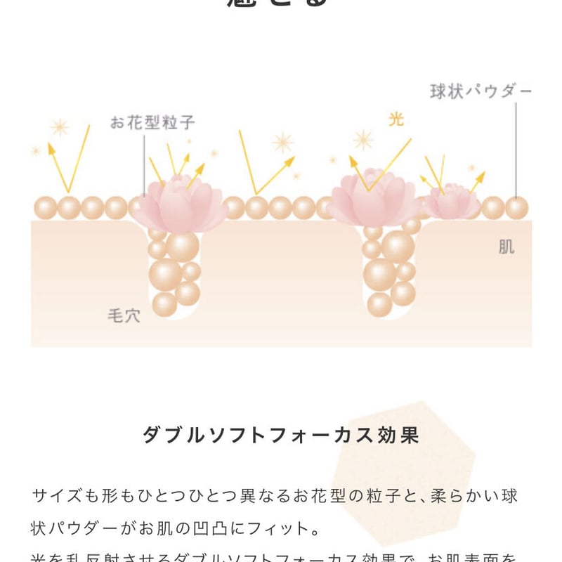 セフィーヌ 渡辺直美さん限定ケース＋シルクウェットパウダー