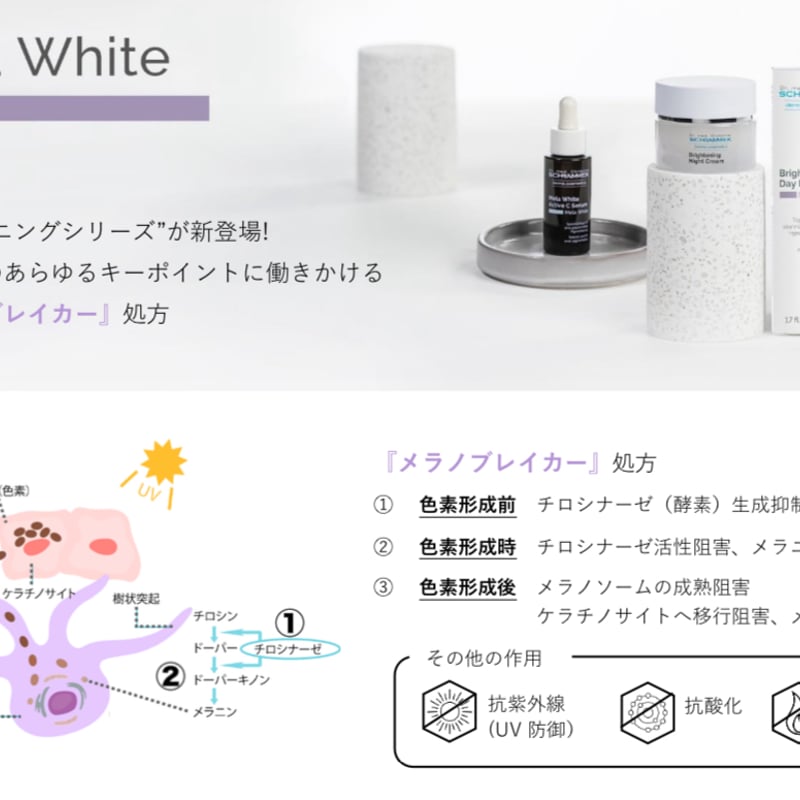 シュラメック ブライトニングデイフルイド SPF50 50ml Schrammek  