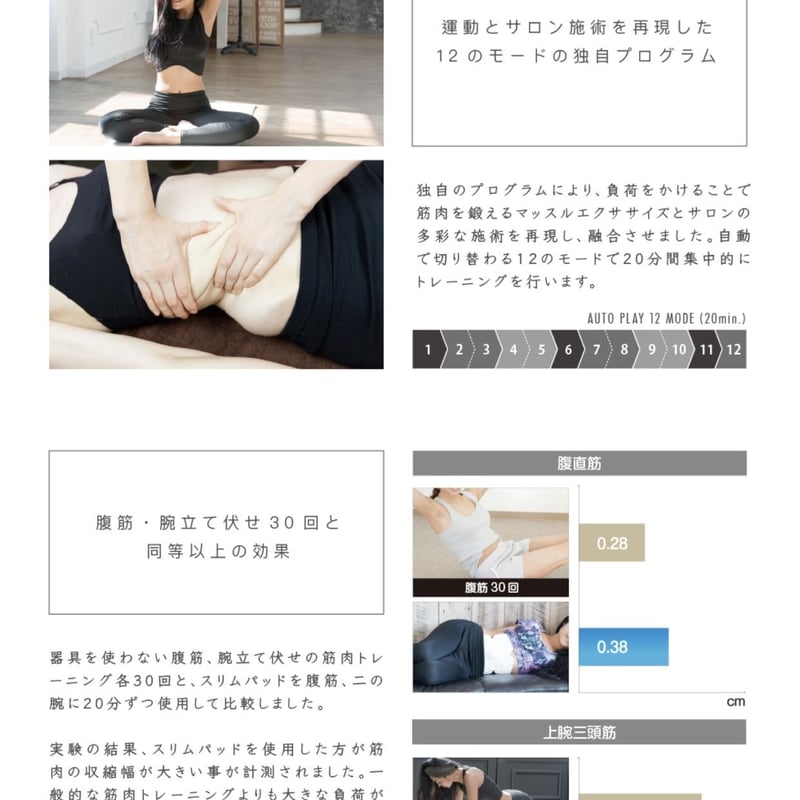 新品 SLIM PAD FIT 筋トレ スリムパット トレーニング 腹筋 新品 SLIM PAD FIT 筋トレ スリムパット トレーニング 腹筋