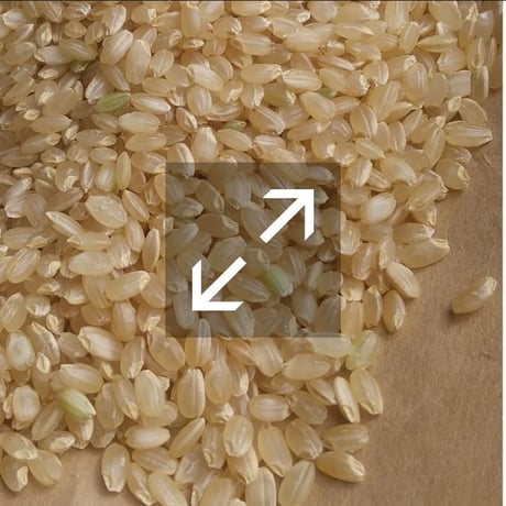 焙煎玄米粉（常温発送）