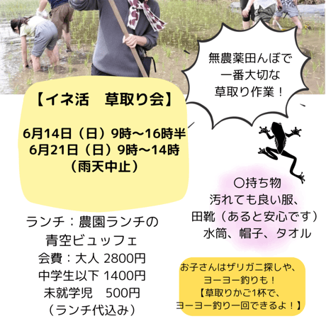 イネ活　草取り会