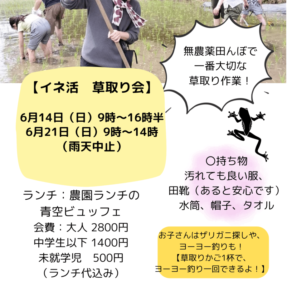 67ff4e3e77cfb7c68934abcc
