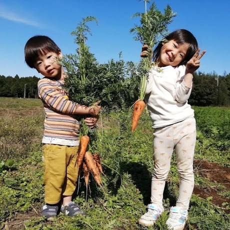 野菜の収穫体験会/5月18日(土)【一般のお客様対象】
