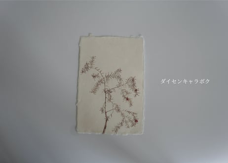 Botanical Postcards  - Flora of Tottori -