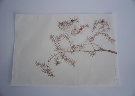 Tapestry　- Flora of Tottori -